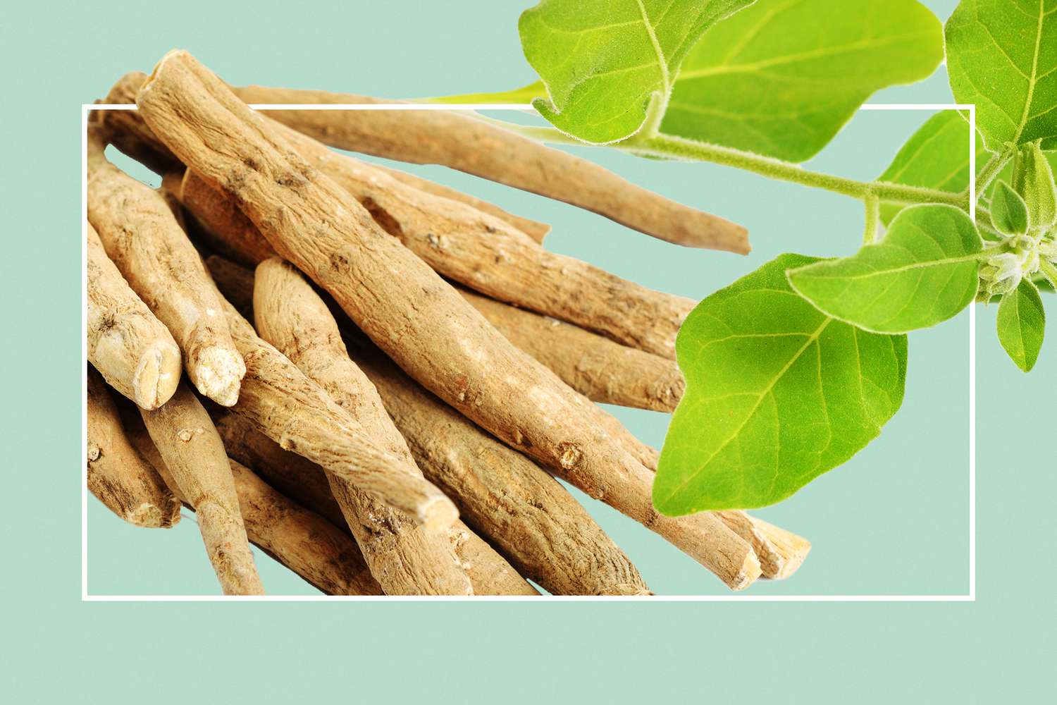 What are Adaptogens and What is Ashwaganda? Ashga What??