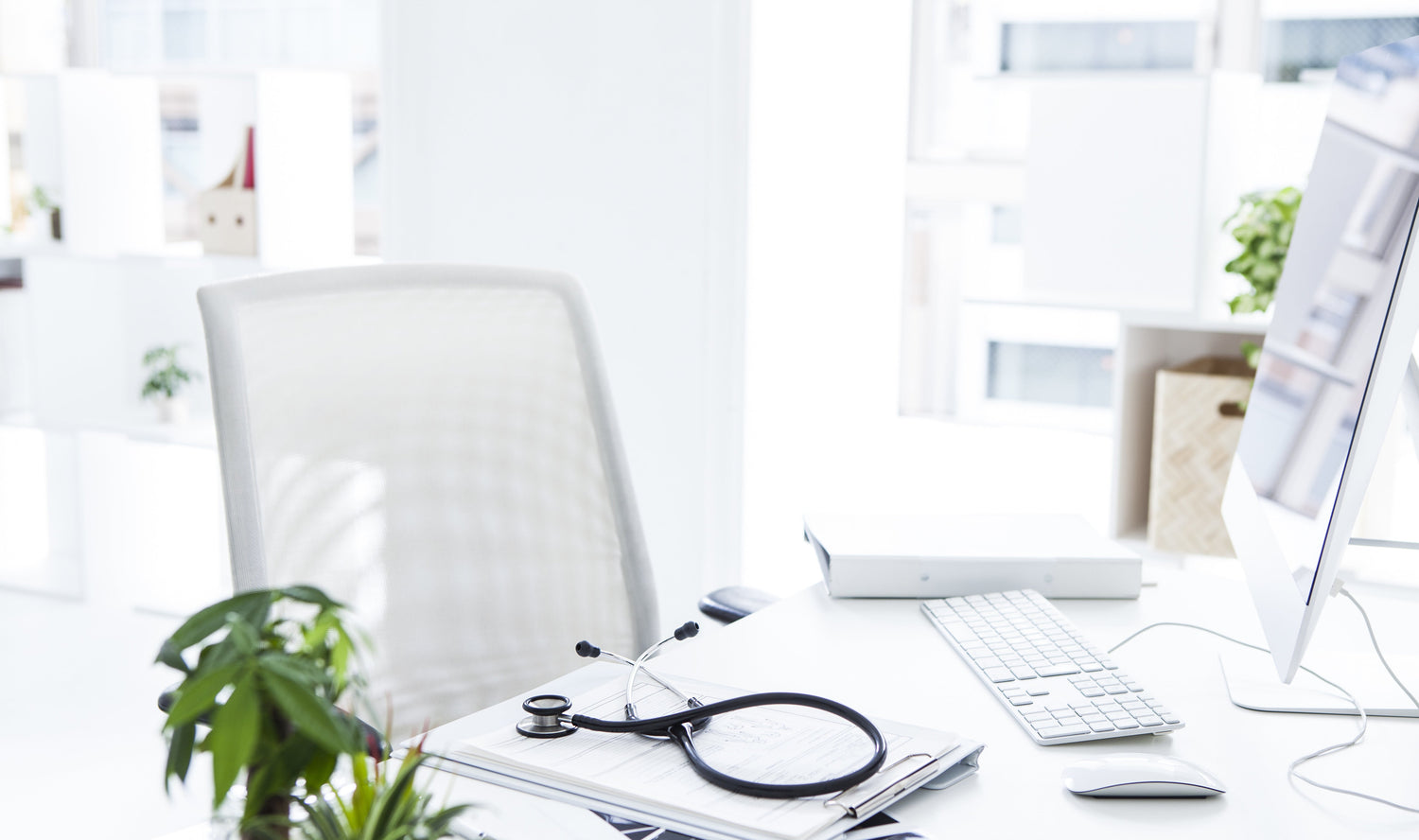 4 Essential Immune Health Tips