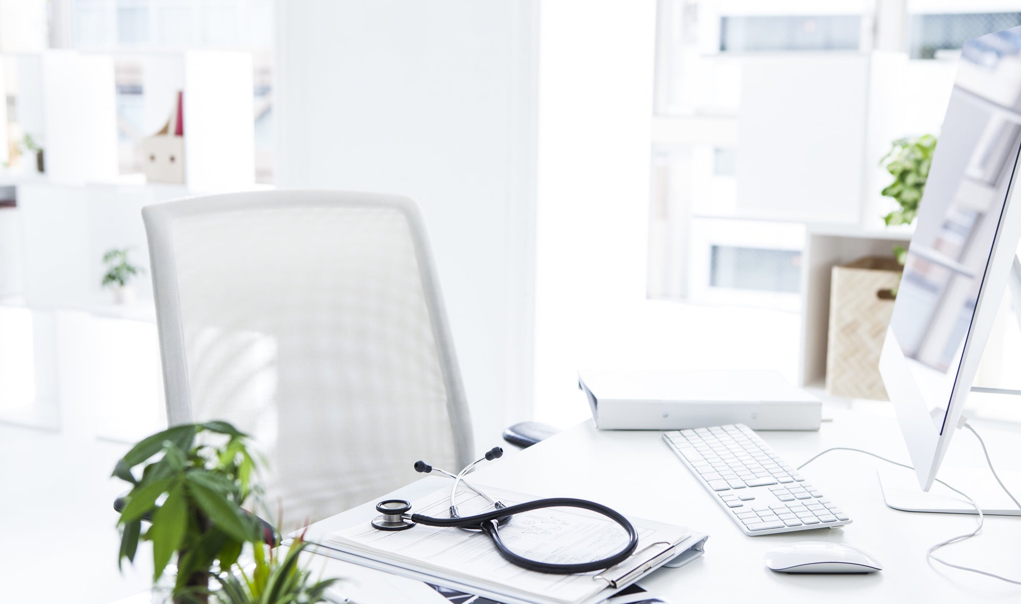 4 Essential Immune Health Tips