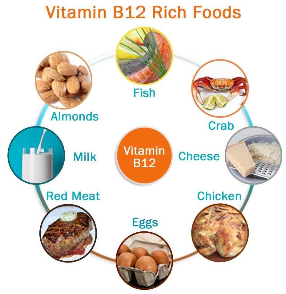 Vitamin B12 - Energy Super Hero - Part 2